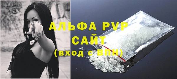 шишки Осташков