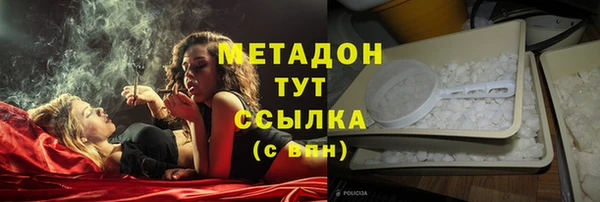шишки Осташков
