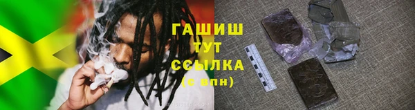 шишки Осташков