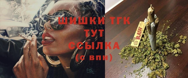 шишки Осташков