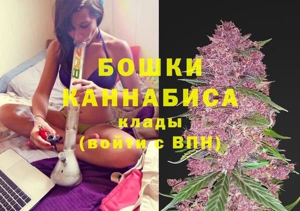 ALPHA PVP Осинники