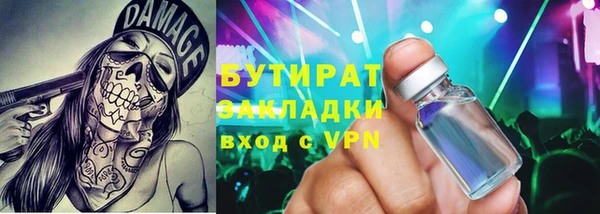 шишки Осташков