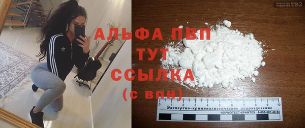 индика Переславль-Залесский