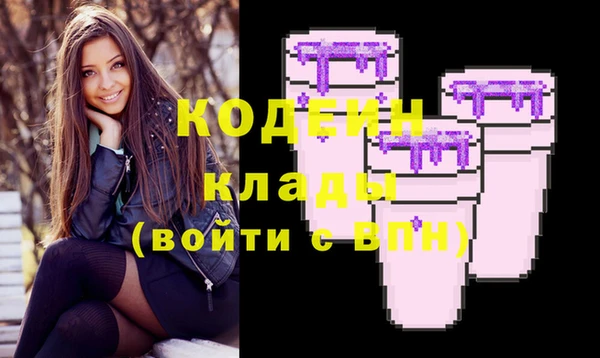 шишки Осташков