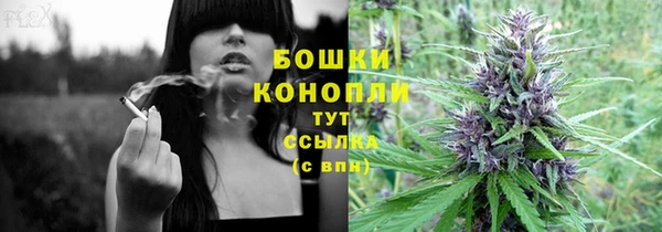 шишки Осташков