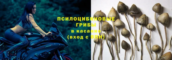индика Переславль-Залесский